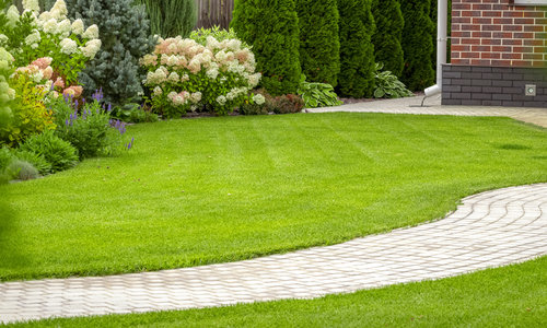 Советы по созданию и уходу за красивым газоном на своем участке