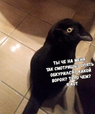 Юмор в картинках 26.07.20