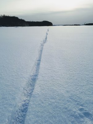 2018-02-15%2010.38.45-1.jpg?dl=1