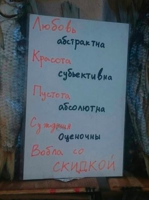 NC8-5MLOkL0.jpg?size=536x720&quality=96&