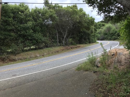 IMG_3884.JPG?v=8ee38f99