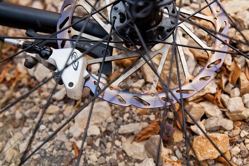 KWX7RiJIxXQ.jpg?size=1200x800&quality=90