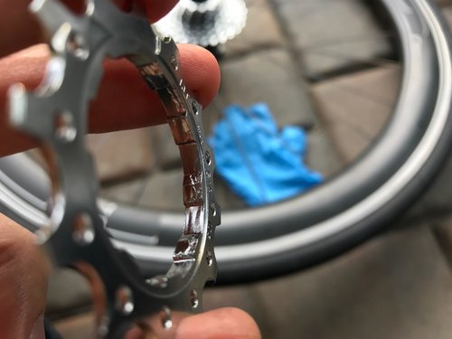 IMG_3760.jpeg?v=2203b466