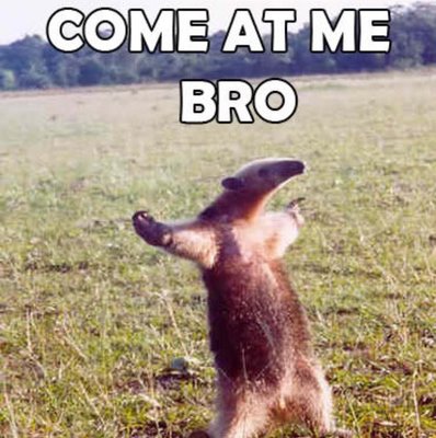 38737980.e203631b.1200x1200o.28e8f649b3f