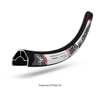 Frequency-i19-Team-29_1024x1024.jpg?v=1445887240