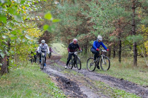 tNovgk3esGo.jpg?size=2560x1696&quality=9