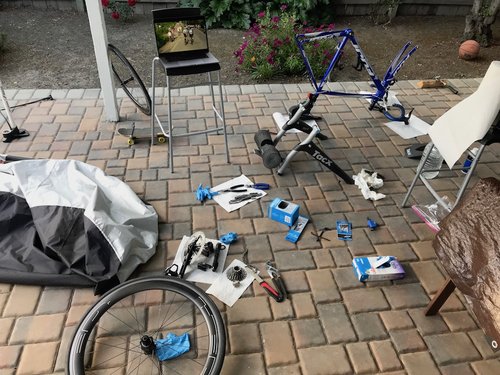 IMG_3759-1.jpeg?v=ef9f01a3