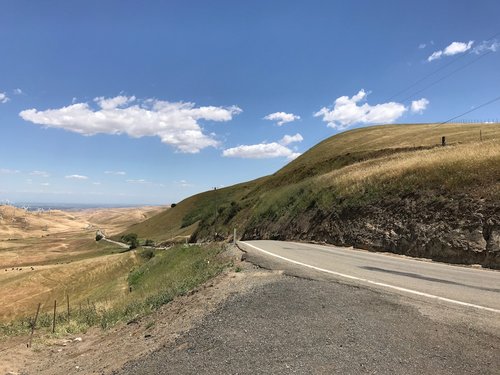 IMG_4021%202.jpeg?v=44472d28