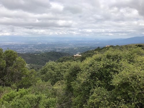 IMG_3901.JPG?v=74a2e83c