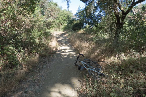 alpineroadaug312019.jpg?w=1168