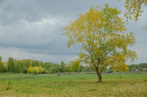 DfEHrRPiCdo.jpg?size=2560x1696&quality=9