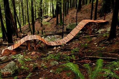 North Shore Trail Builders | Marin Museum of Bicycling and Mountain Bike  Hall of Fame