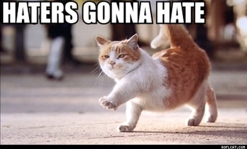 Haters_gonna_hate_cat.jpg