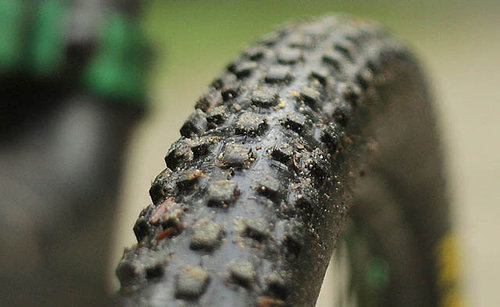 Maxxis-Beaver-29er-Tire-3.jpg