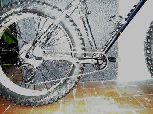 2016-11-01%2019.37.31.jpg?dl=1