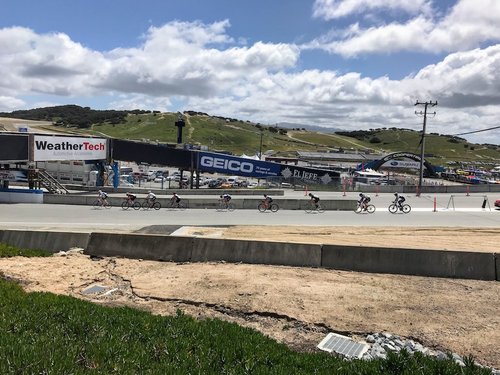 IMG_3565.JPG?v=78344bf0