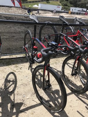 IMG_3583.JPG?v=3f800fbf