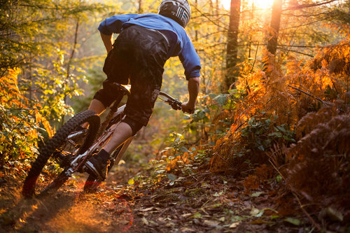 743A5468-2.jpg?format=1500w&content-type