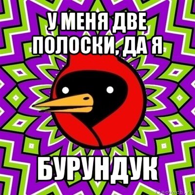 comics_Omskaya-ptica_orig_1322261056.jpg