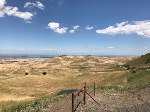 IMG_4022-1.jpeg?v=ed001ea9