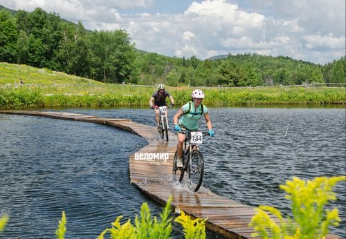 Bv9qs4wwMNk.jpg?size=977x678&quality=96&