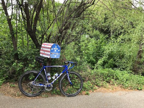 IMG_3881.JPG?v=cdfeab13