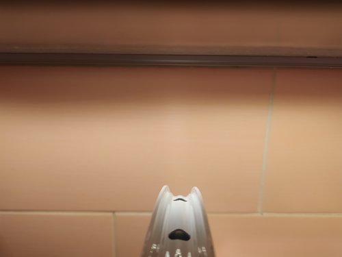 wf88c8YJhhU.jpg?size=2560x1920&quality=9