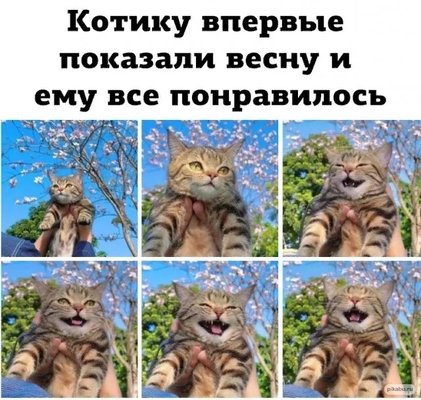 V7FtSAIx4FQ.jpg?size=640x607&quality=96&sign=0d4baef6b95557d0f206241d48e53e2a&type=album