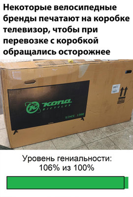 VdflPAWS-R0.jpg?size=408x604&quality=96&