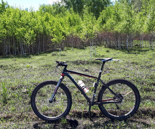 2017-06-01%2012.49.48.jpg?dl=1