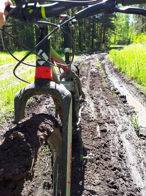 2017-06-01%2012.20.12.jpg?dl=1