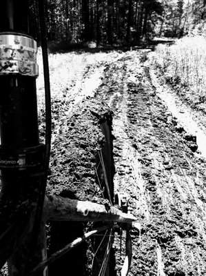 2017-06-01%2012.20.22.jpg?dl=1