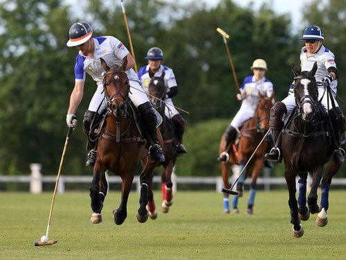 Правила игры в конное поло