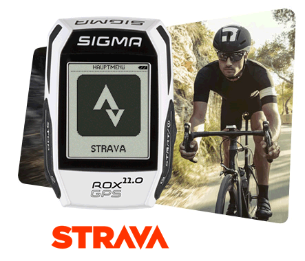 rox-strava-display-animation.gif