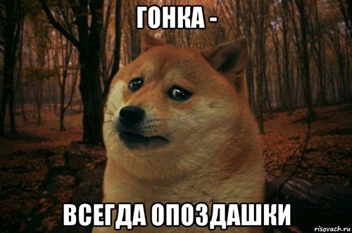 sad-doge_124534859_orig_.jpg