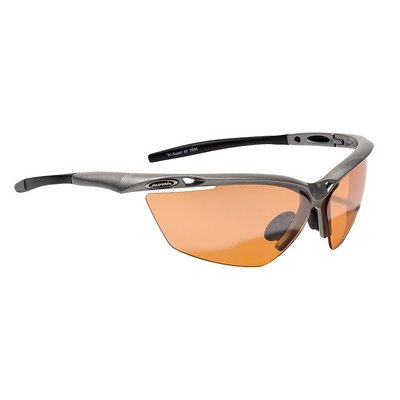 очкиAlpinaTriGSlv .jpg