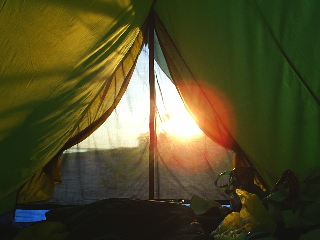 спайсы в палатке