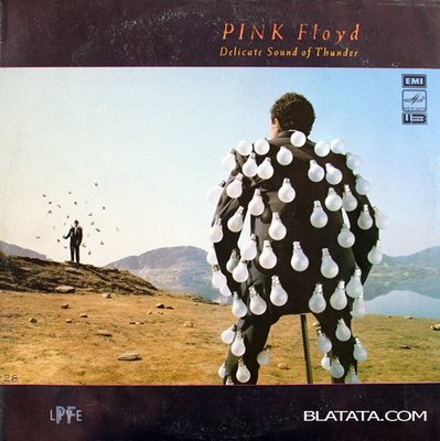 1210491588_pink_flojjd.jpg