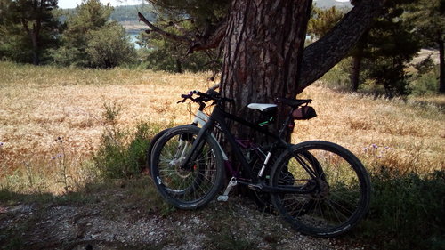 2018-05-09 12-40-09 (1).JPG