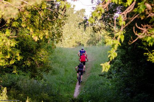 Без имени-21.jpg