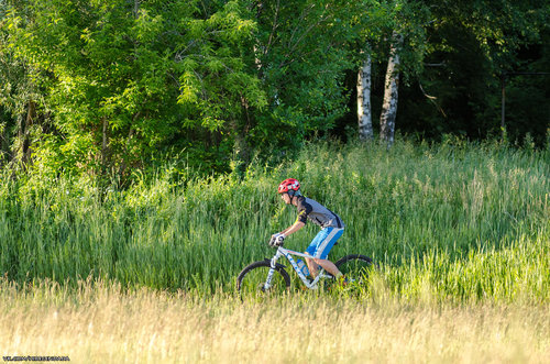 Без имени-8.jpg