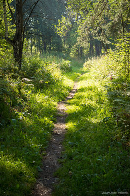 20180819-Зеленый Марафон_2018_062.jpg