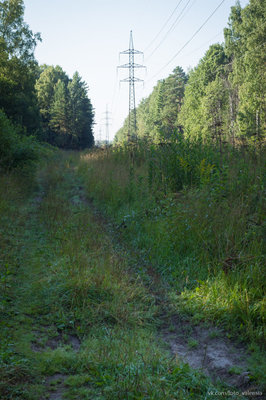 20180819-Зеленый Марафон_2018_063.jpg