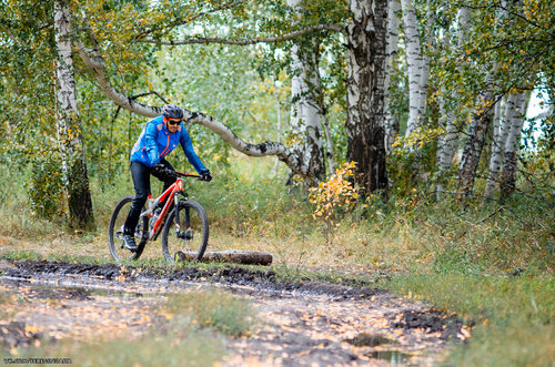 Без имени-19.jpg