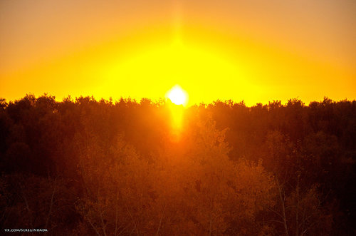 Без имени-29.jpg