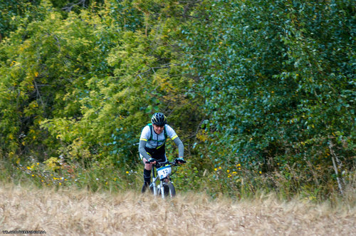 Без имени-72.jpg