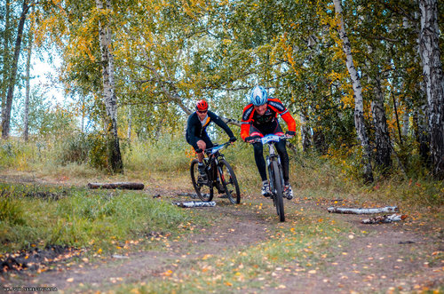 Без имени-27.jpg