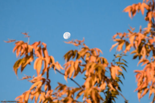 Без имени-49.jpg