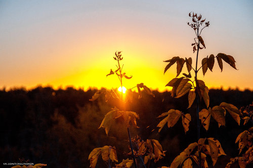 Без имени-22.jpg