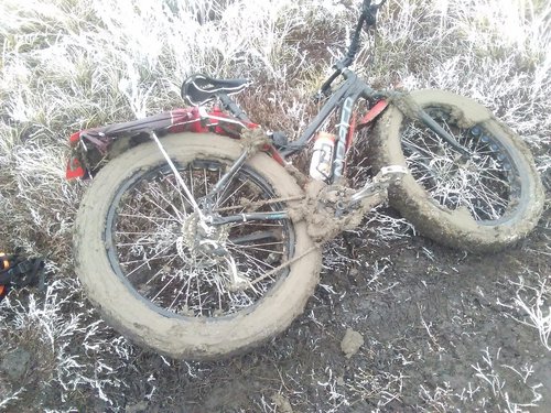 2016-10-13 11-15-49.JPG